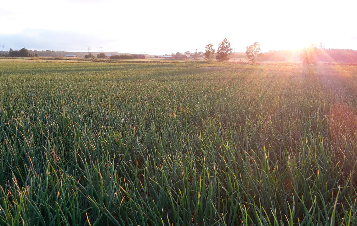 ACF Uussaari Oy klaar voor de toekomst met Van Dijke trommelwasser